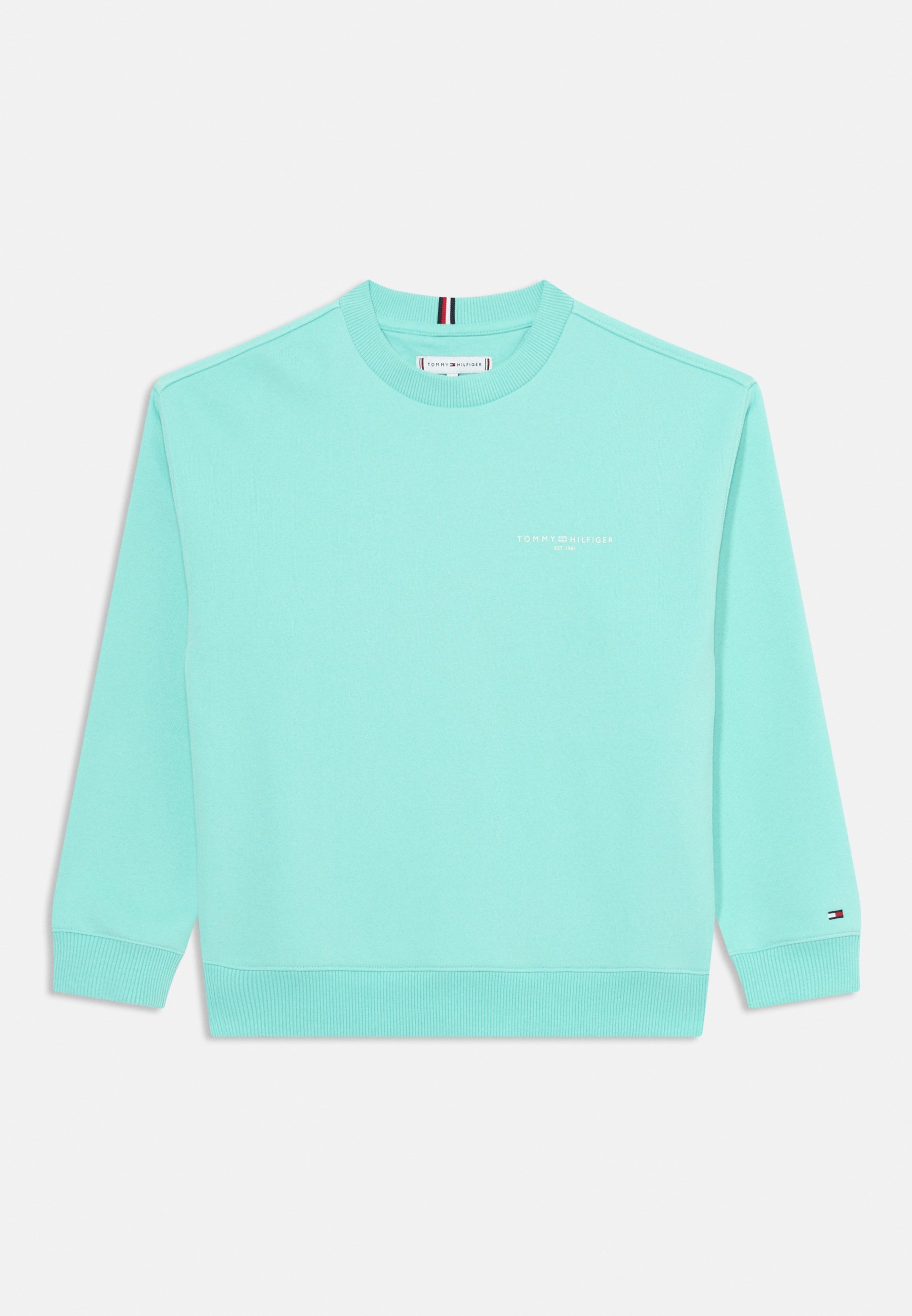Tommy Hilfiger MINI CORP UNISEX - Felpa - mentolo