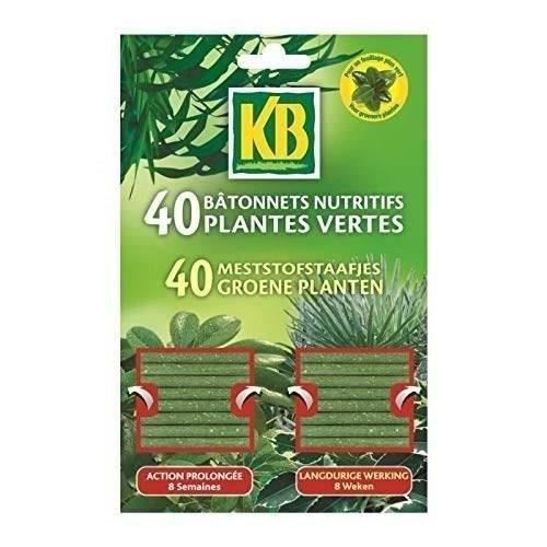 Bâtonnets nutritifs plantes vertes - KB - Action prolongée 8 semaines - NPK 10-7-9 + 2% mgo