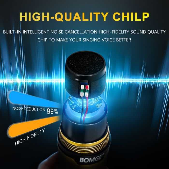 Professional 2-Channel Wireless Microphone System Kit for Karaoke and DJ, with Shiny Gold Microphone and Rechargeable Receiver