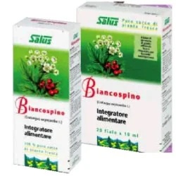 SALUS HAUS Suco de espinheiro 20 ml Bio