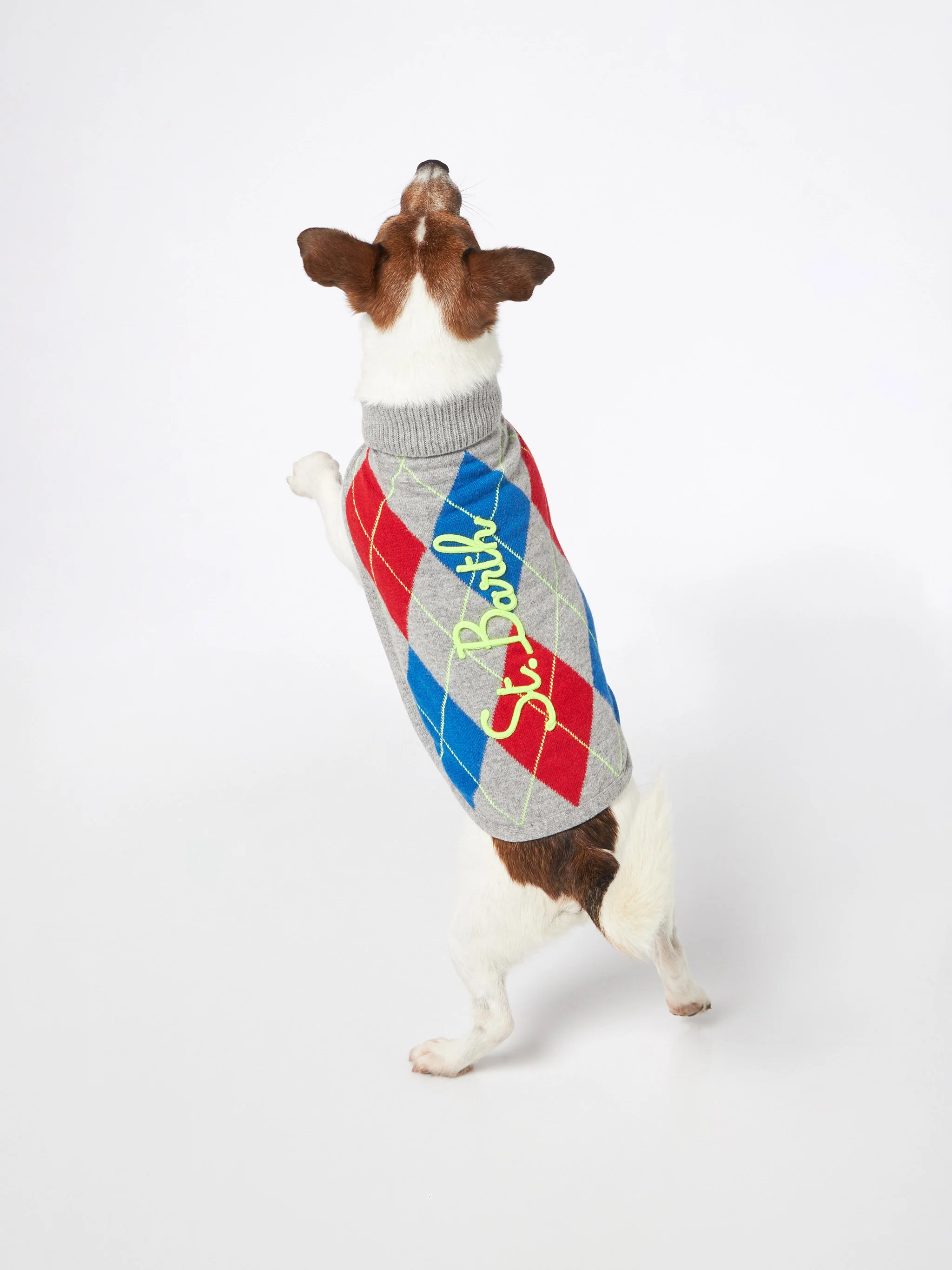 Trui voor honden met argyleprint