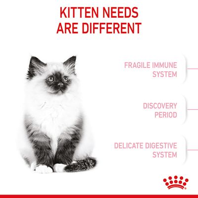 Royal Canin para gatitos