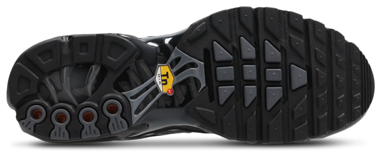 Nike Air Max Plus Fl Tuned