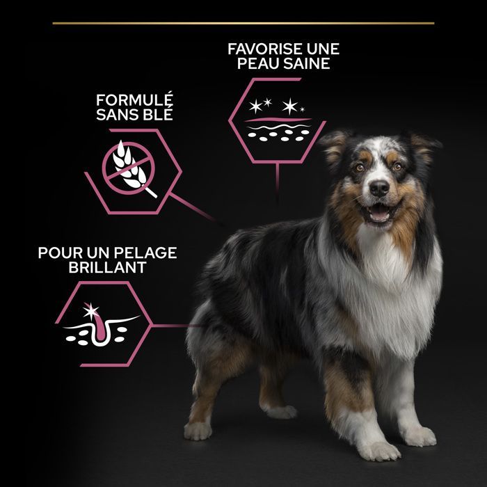 PRO PLAN Medium Adult Sensitive Skin Rich in Salmon - 14 KG - Croquetas para perros adultos de tamaño mediano