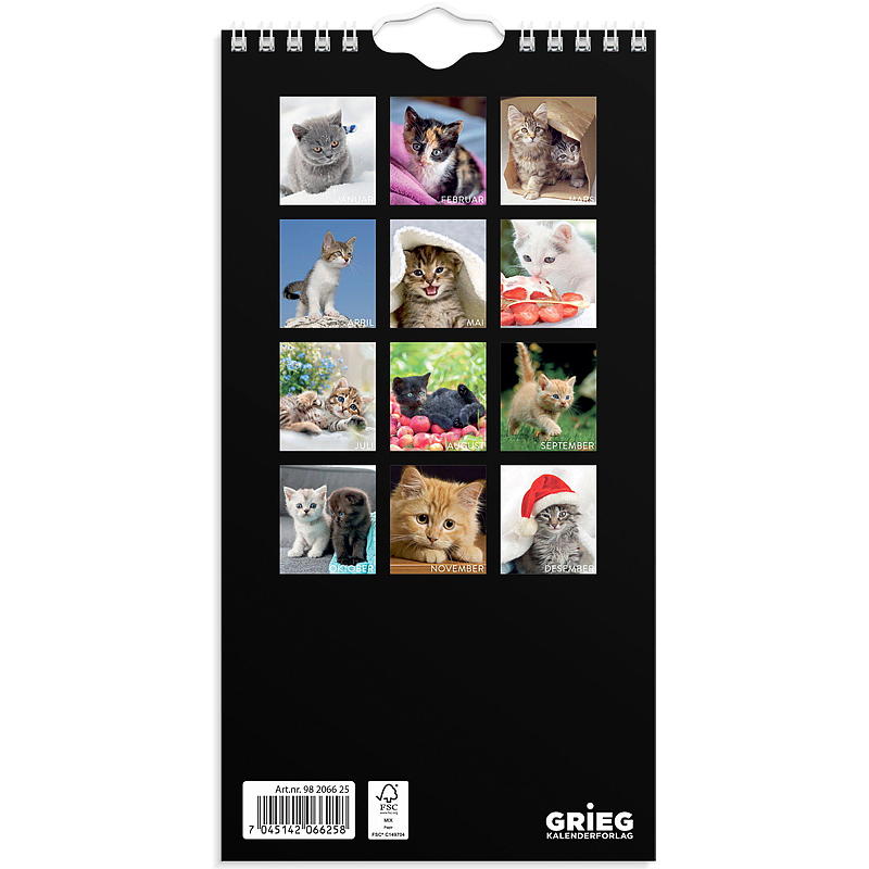 Calendrier mural chats mini 2025