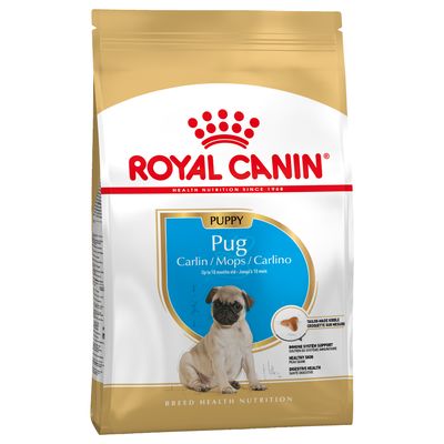 Royal Canin Mops-Welpe