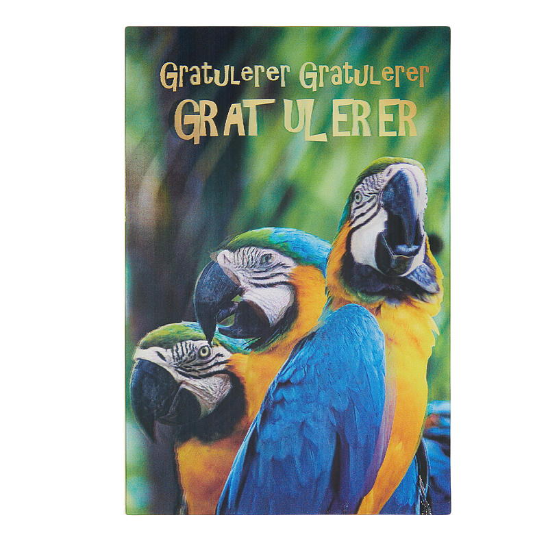 3D-felicitatiekaart met papegaai