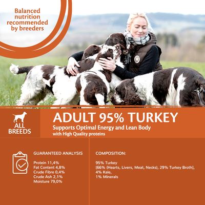 Nourriture humide pour chiens adultes Wellness Core à 95 % de protéines uniques, dinde et chou frisé