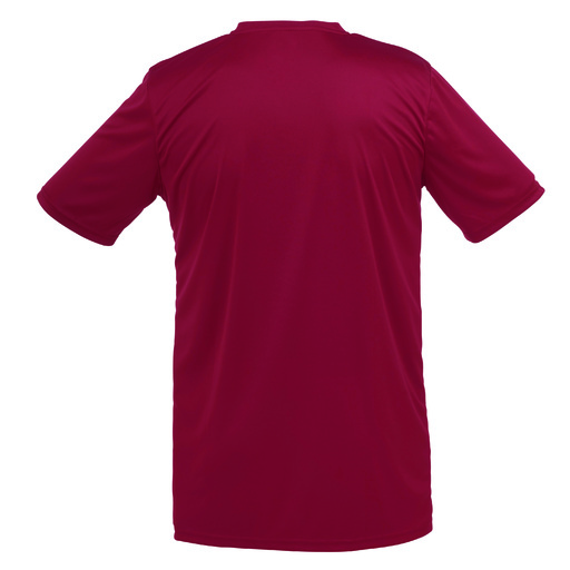  T-shirt Uhlsport Stream 3.0 Mc bordeaux/bleu clair