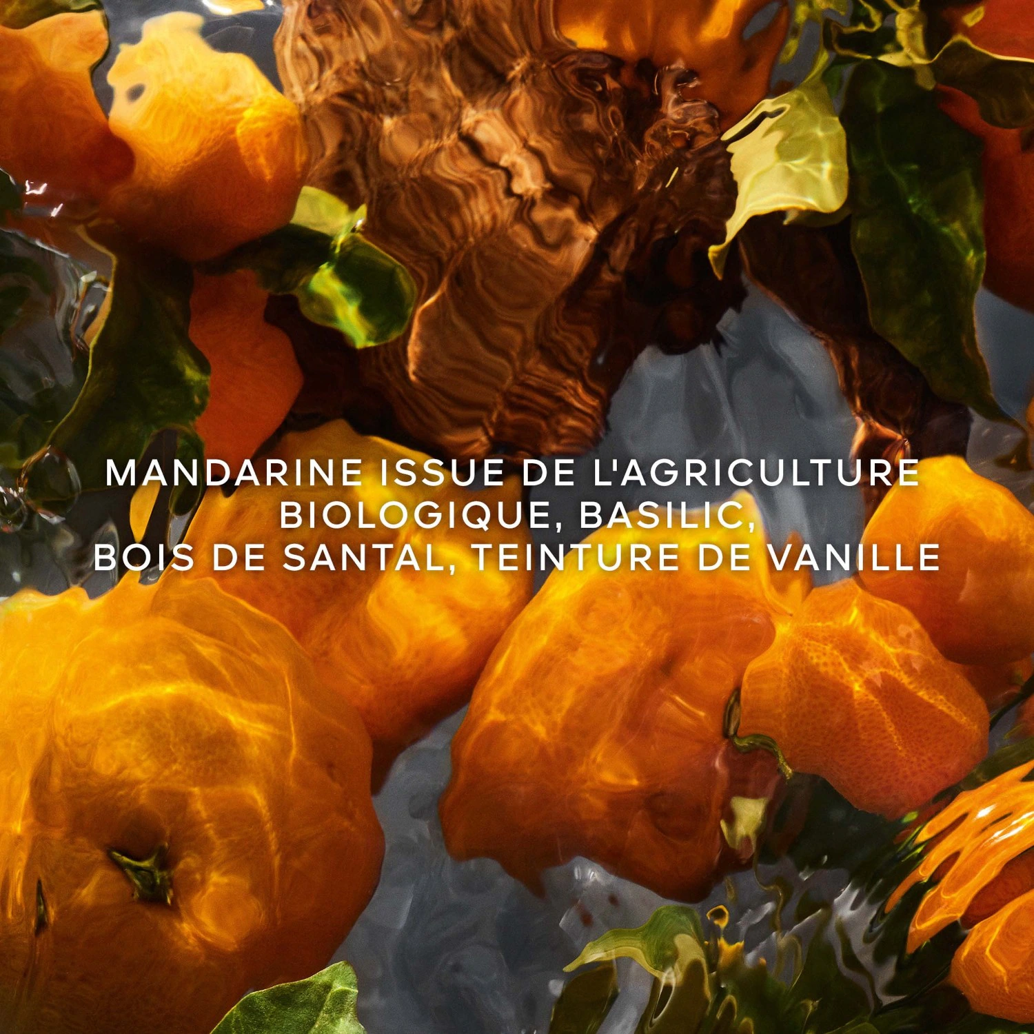 Guerlain Mandarine Basilic Forte