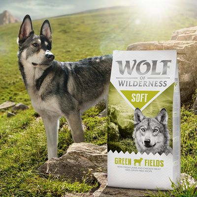 Wolf of Wilderness Soft 