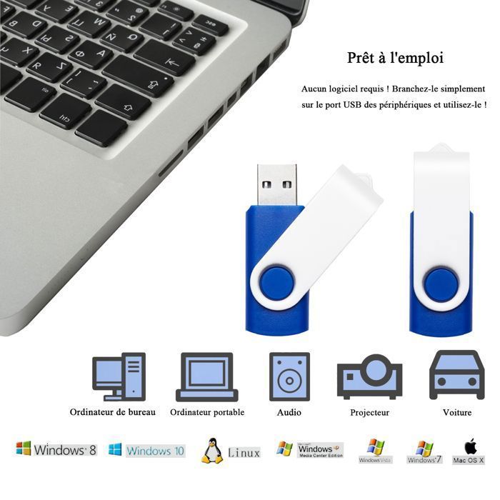 Clés USB 8 Go, Lot de 10, Version 2.0  USB C REWBOAT Mémoire Externe, Boîtier en Plastique + Crochet Rotatif en Métal