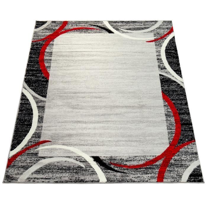 Paco Home Tapis de Salon Moderne Avec Bordure Tapis De Marque Moucheté Gris Noir Rouge 80x300 cm