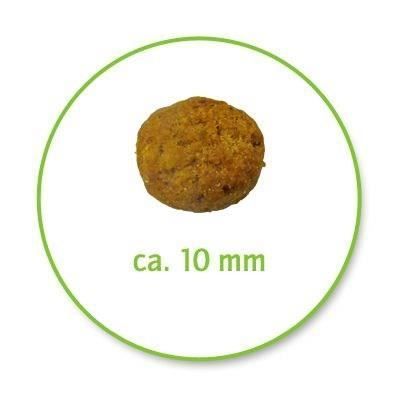 Royal Canin Nutrição Felina - Croquetes - 10 kg