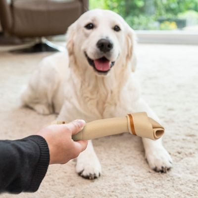 SmartBones Snack Masticabili al Pollo per Cani di Taglia Grande