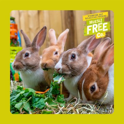 Burgess Excel Adult Rabbit Nuggets med mynte