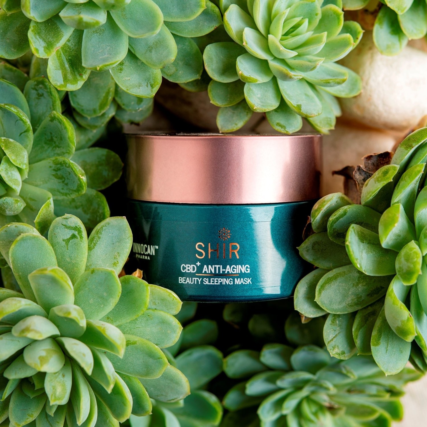 SHIR BEAUTY Masque de nuit anti-âge concentré en CBD