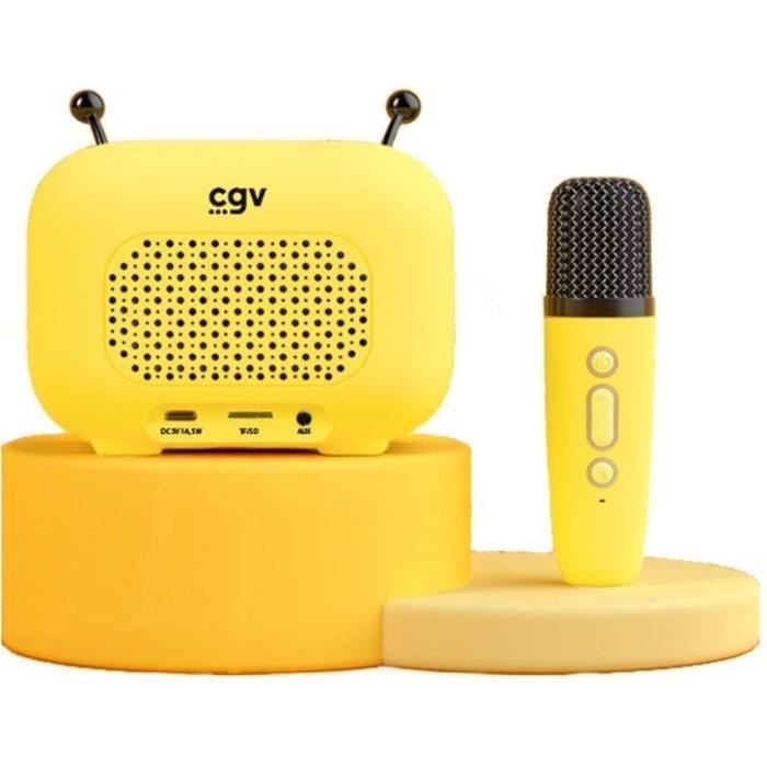 Karaoke-Set / Bluetooth-Lautsprecher und kabelloses Mikrofon – CGV – MAYA, Magische Stimmeffekte, 8 Stunden Akkulaufzeit, USB-Aufladung
