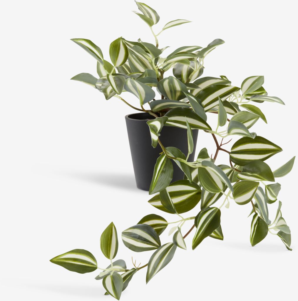 ASGAR Mākslīgais augs ASGAR H24cm zaļš