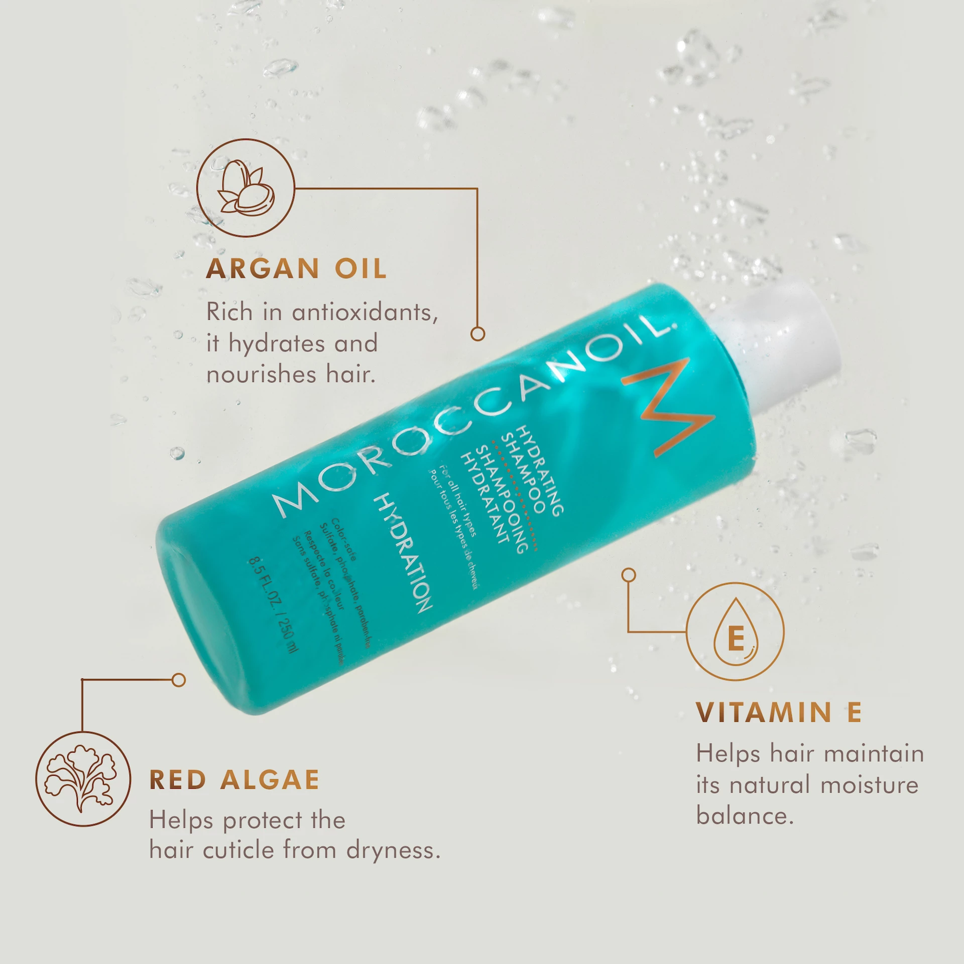 Hidratantni šampon 250 ml - Moroccanoil