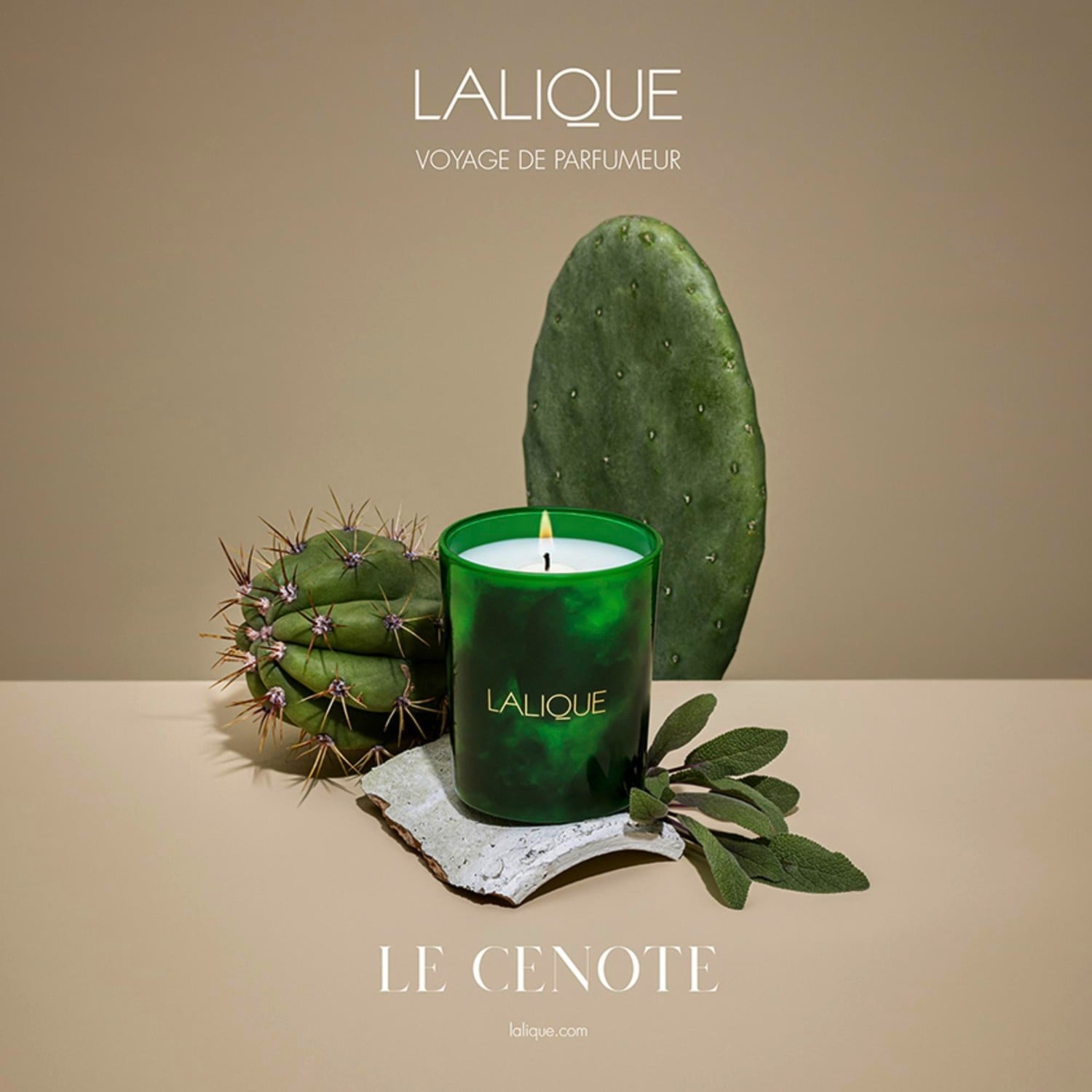 Lalique Le Cénote - Tulum, Mexique
