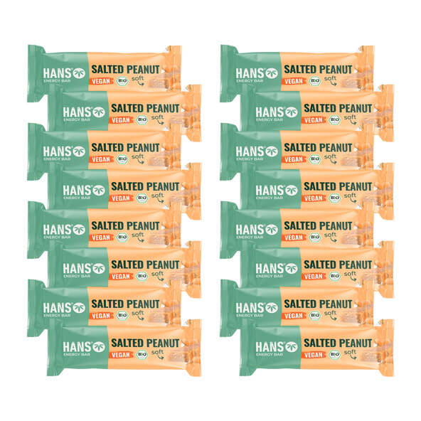 Vegane Bio Oat Bar, Salted Peanut, 16er Set (16 x 35g = 560g)