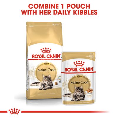 Croquettes Royal Canin Maine Coon adulte en sauce