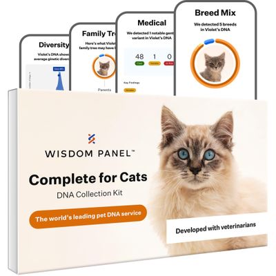 Wisdom Panel™ Kompletter Katzen-DNA-Test