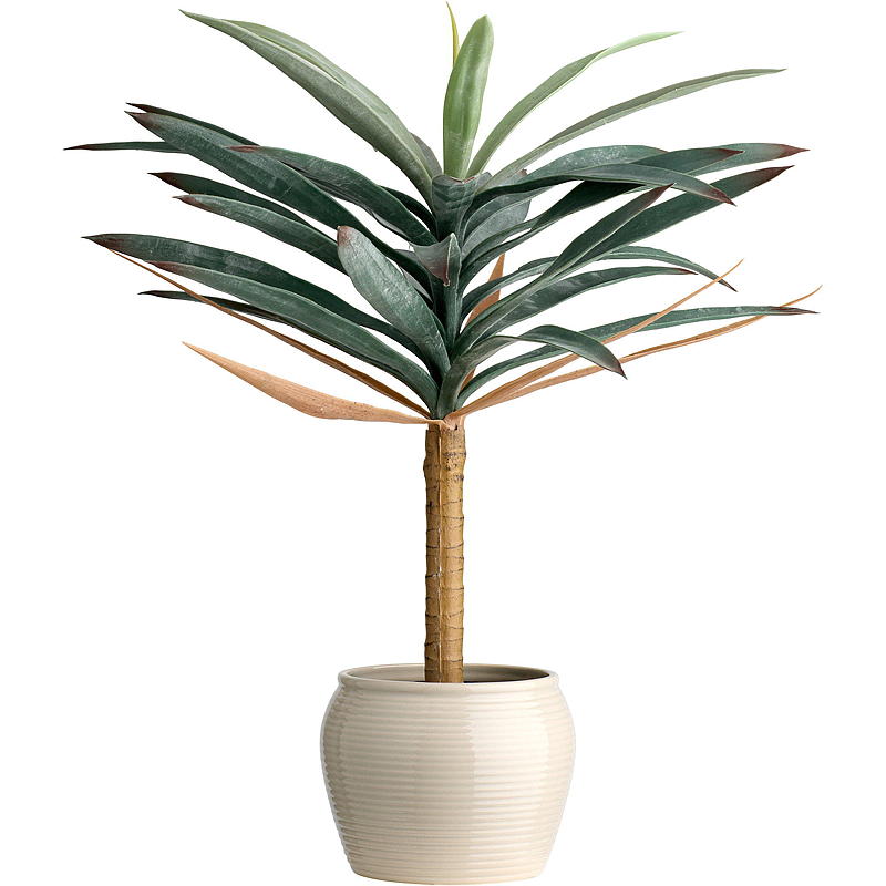 Künstliche Drachenbaumpalme, 62 cm, für Zuhause