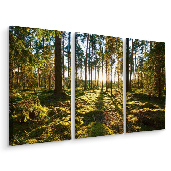 Obraz TRYPTYK Las Drzewa Słońce Natura 3D 60x40cm