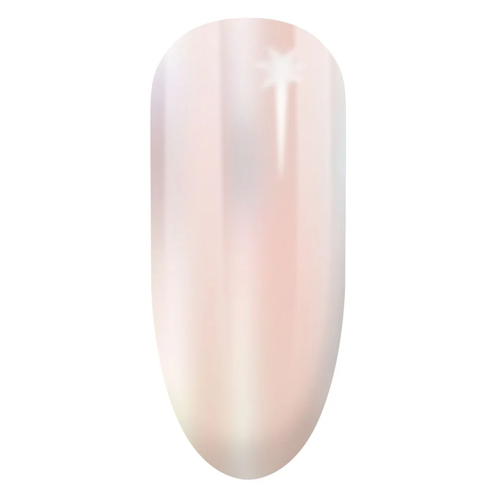 Accessori Nail Powder Mermaid - Accessori Unghie