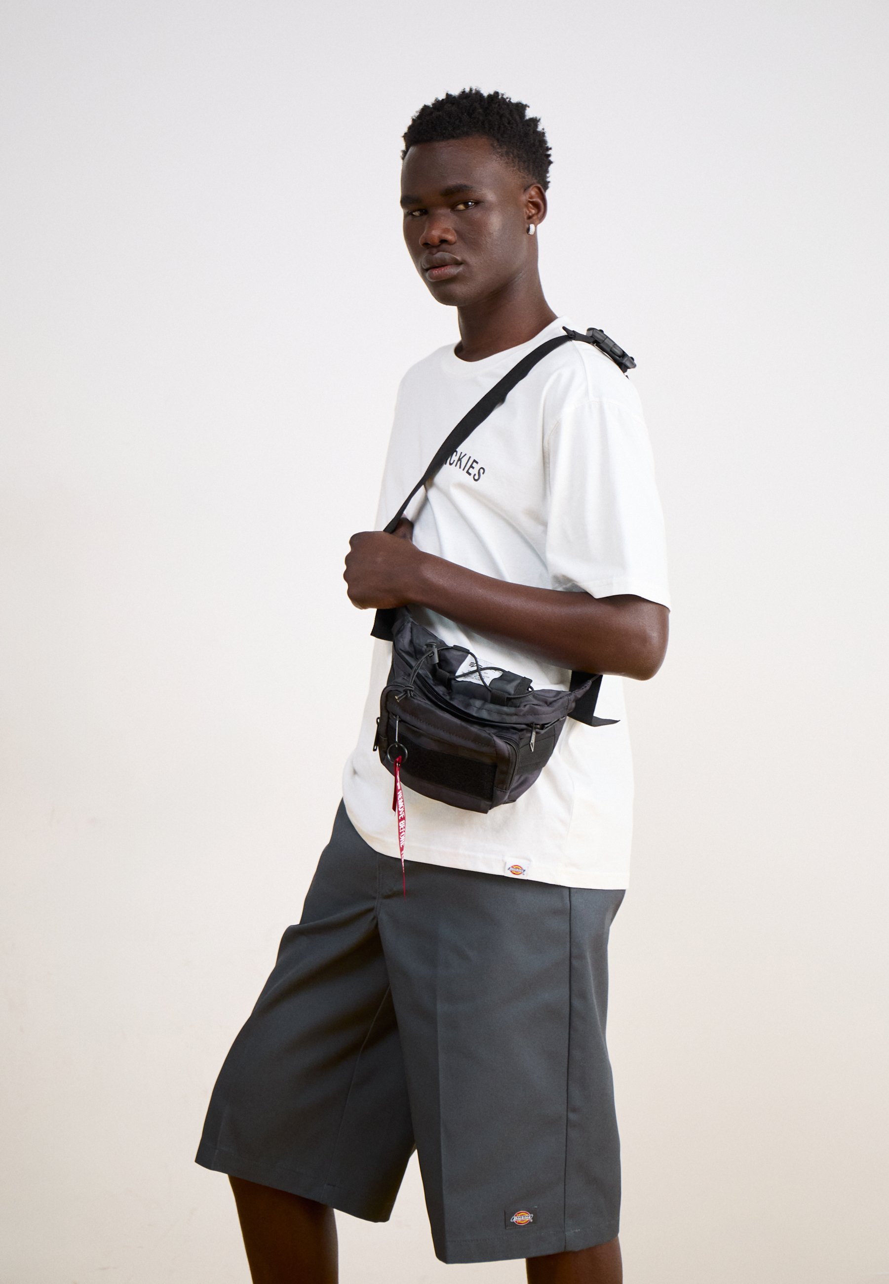 Dickies casual shorts