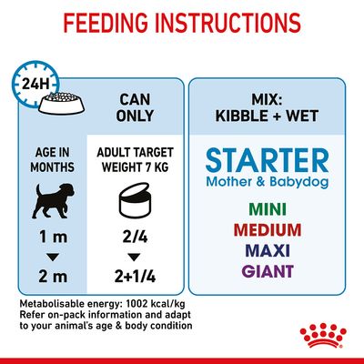 Royal Canin Starter Mousse pentru mame și câini