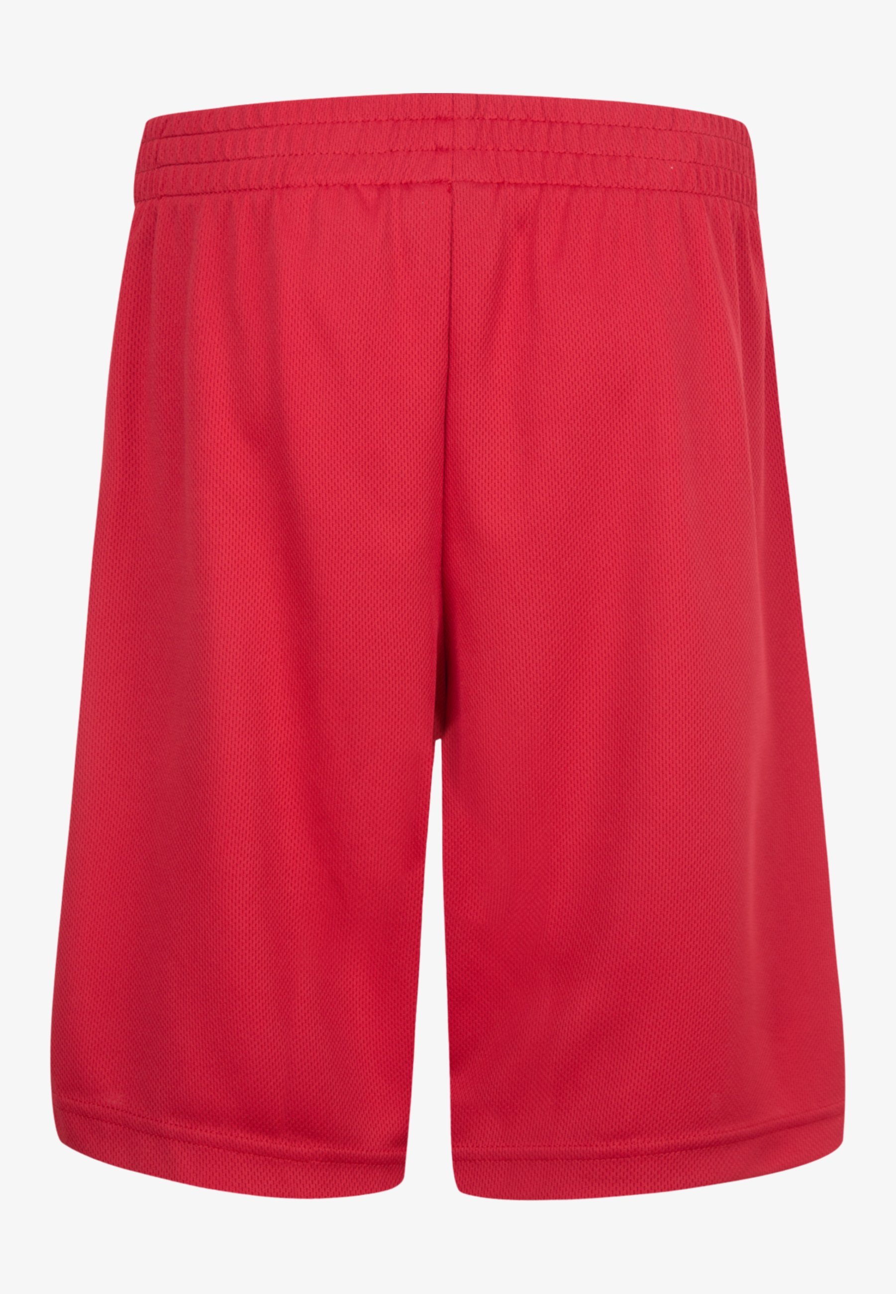 Jordan Sports shorts - gym rood