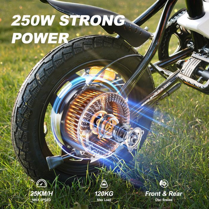 AVDLEU - Vélo Electrique Pliable 14