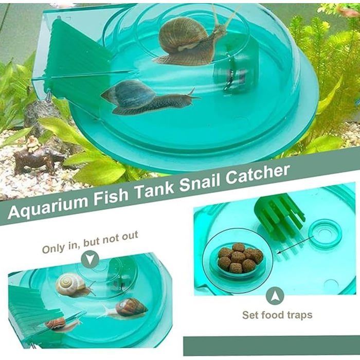 Lot de 2 pièges à escargots en plastique transparent pour aquarium, 17 x 12,3 x 3 cm.