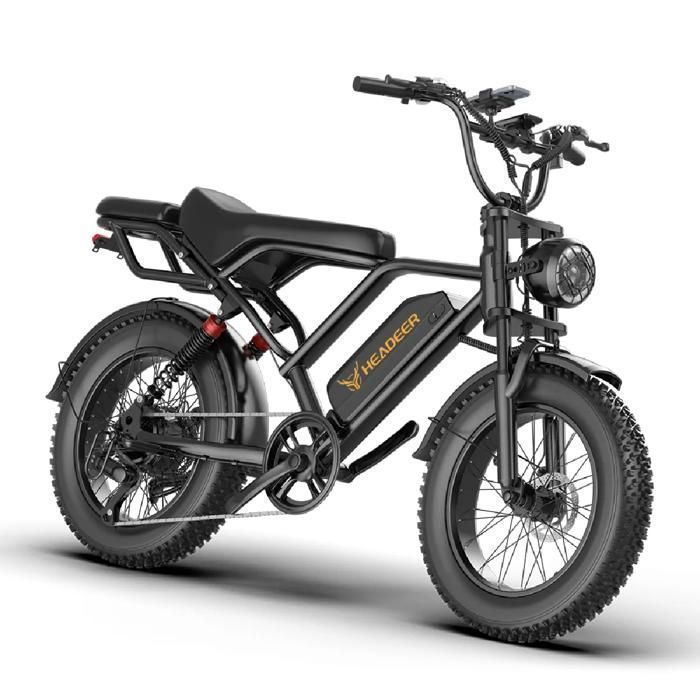Bicicletta elettrica Headeer BK20, 20