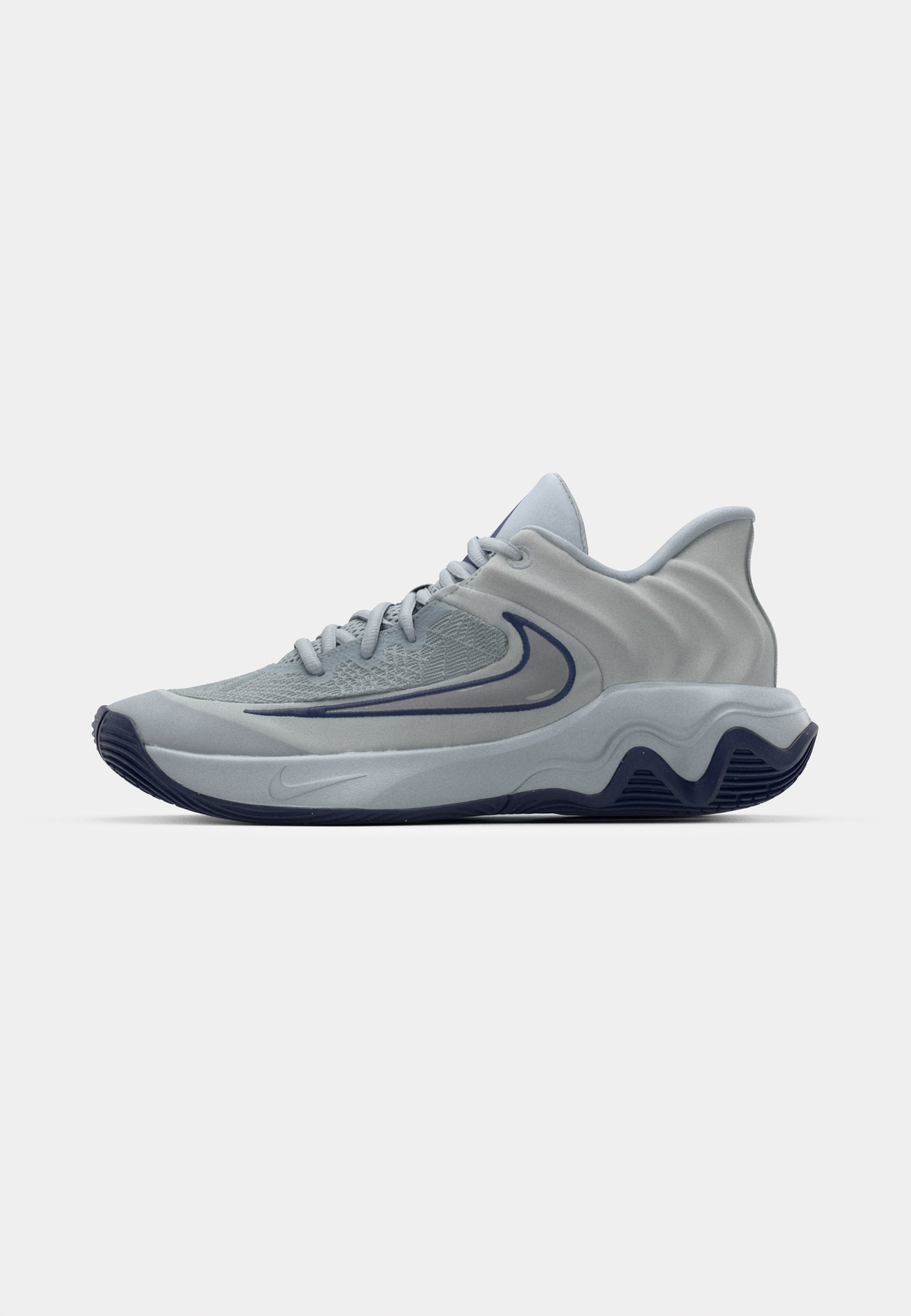 Nike Performance GIANNIS IMMORTALITY 4 - Basketballschuhe - Wolfsgrau/Metallic-Platinum/Reinplatin