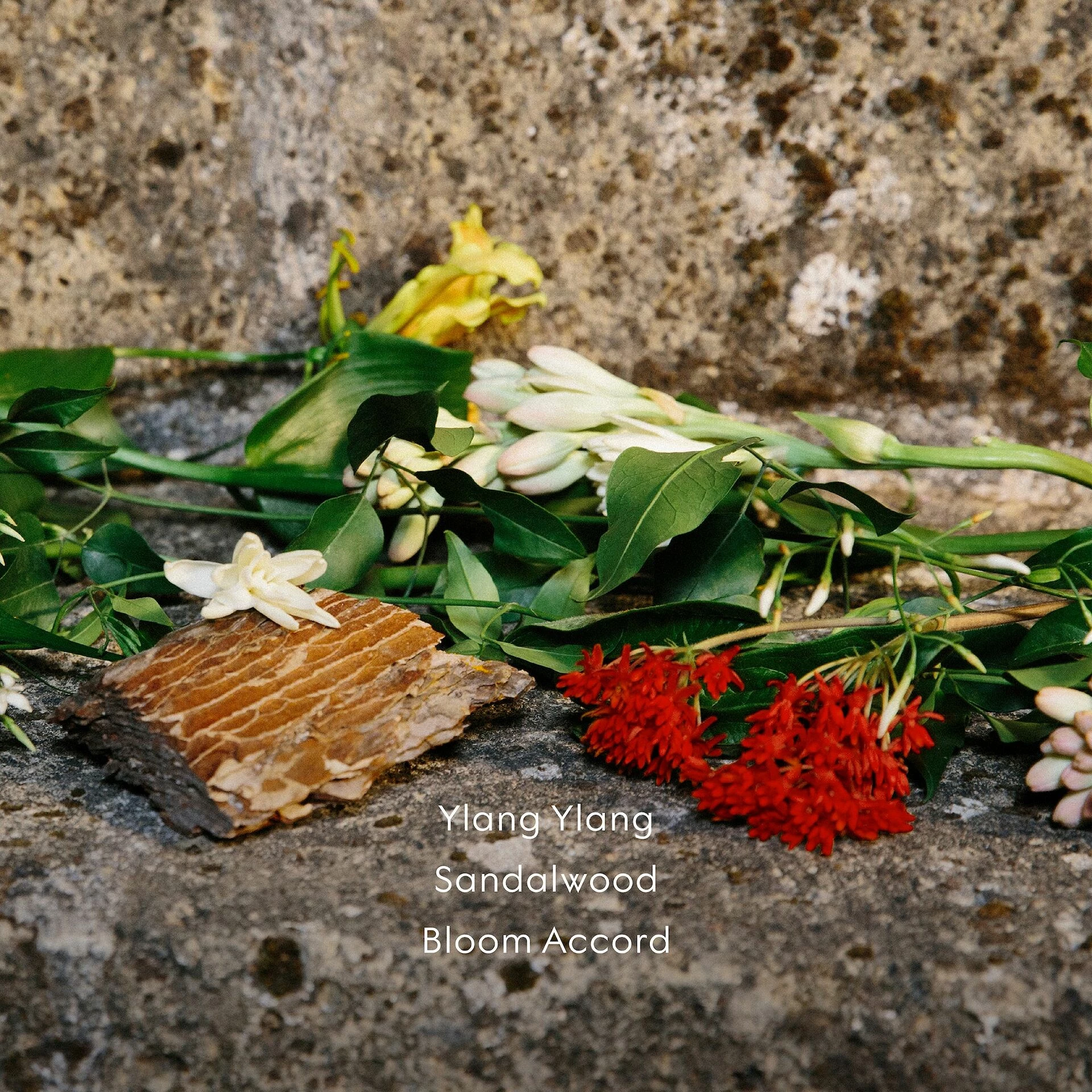 Bloom Profumo Di Fiori EdP 30 ml - Gucci