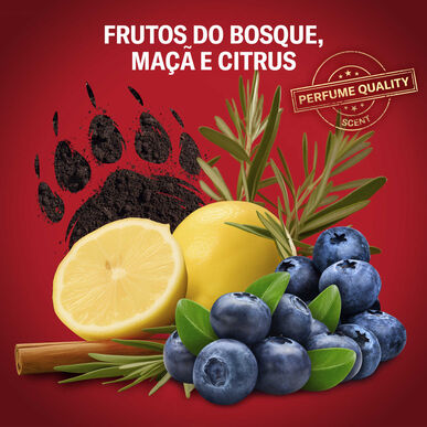 Old Spice Bearglove miris sočnih bobica 3 u 1 šampon i gel za tuširanje za muškarce 400 ml
