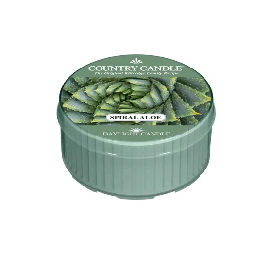 Country Candle Daylight świeca zapachowa Spiral Aloe 42g