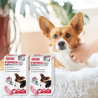 beaphar FIPROtec® COMBO spot-on proti blechám a klíšťatům pro psy - velikost S (2-10 kg)