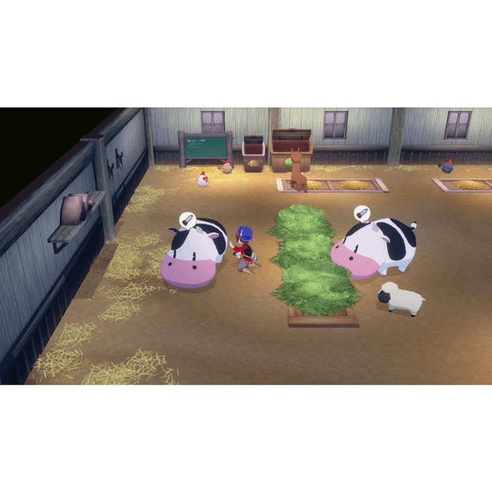 Story of Seasons: Grand Bazaar - Nintendo Switch 2 Edition • Jeu Nintendo Switch 2