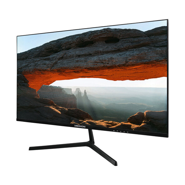 Monitor Full HD de 22