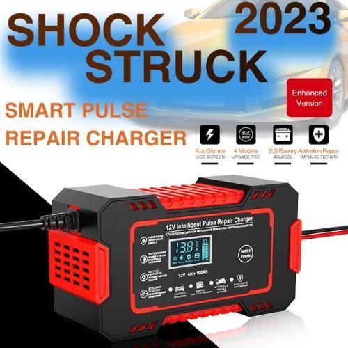 Battery Charger - EMS - 12V/24V 8A - Smart - Portable - LCD Screen