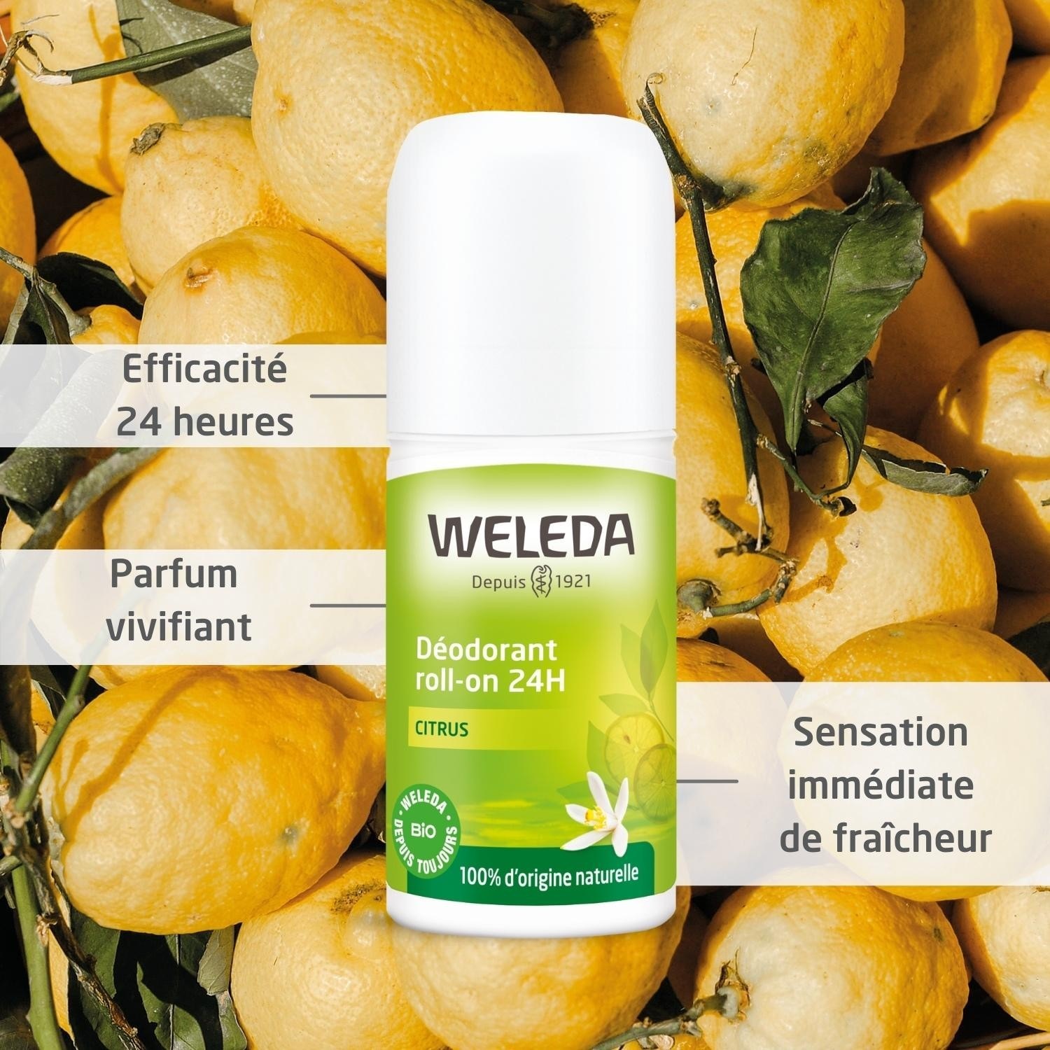 Weleda Déodorant roll-on 24H Citrus - 50 ml