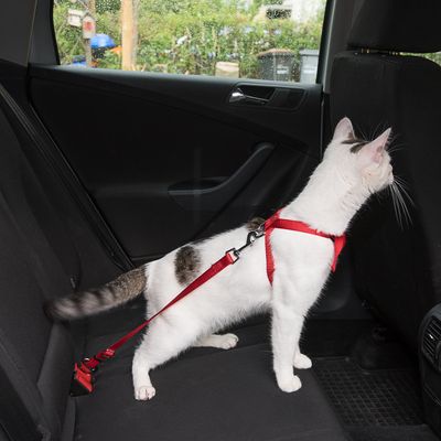 Trixie Katzen-Autogeschirr