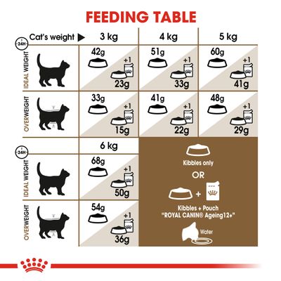 Royal Canin per età superiore ai 12 anni