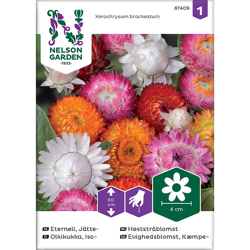 Nelson Garden Seeds Herfststrobloem Hoog, mix
