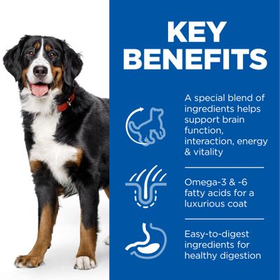 Hill's Science Plan Adult 6+ Senior Vitality Large Breed s kuřecím masem